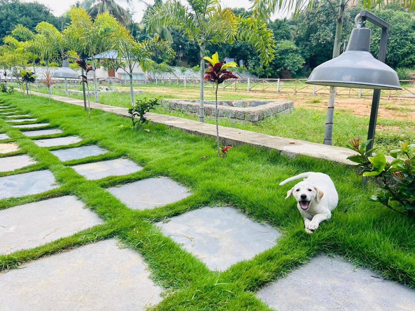 Hampi Village Resort & Tutti Cafe Luaran gambar